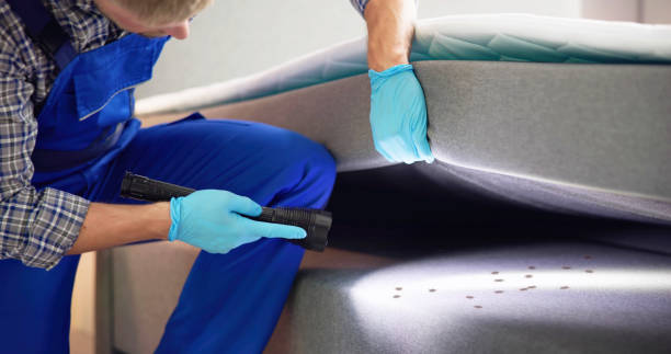 Best Pest Control for Businesses  in Mesilla, NM